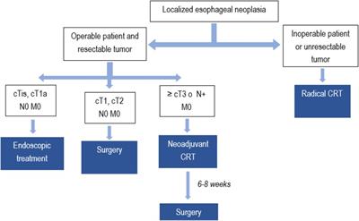 Preoperative risk assessment and prehabilitation strategies in patients undergoing an esophagectomy for cancer resections: a single center retrospective analysis and a review of the literature